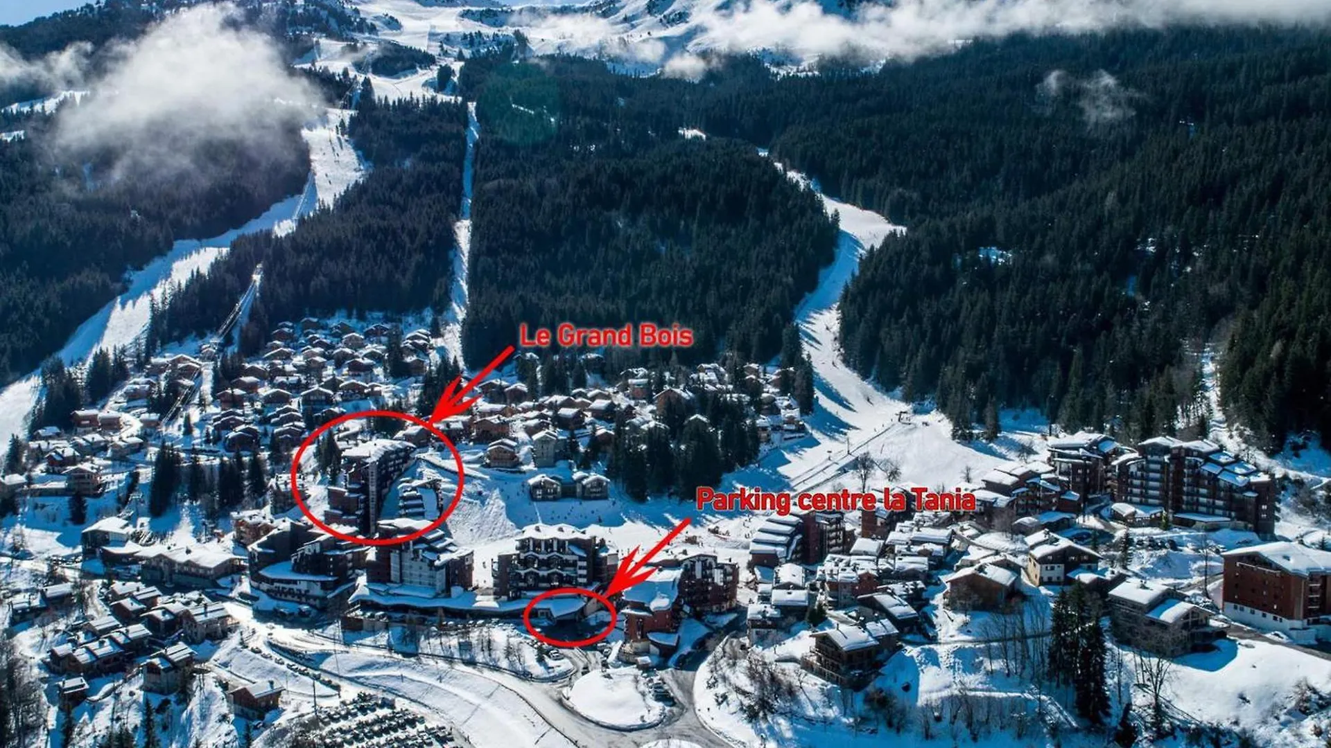 Appartement La Tania, 2 pièces, 4 personnes - FR-1-182A-29 Courchevel